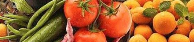 Featured image for “Contratti scritti per la compravendita  di prodotti agricoli e alimentari. Su frosinone.cna.it le risposte ai vostri dubbi”