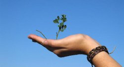 Featured image for “Cassa Integrazione per Artigiani, Commercianti e PMI. Presenta la tua richiesta entro mercoledì 4 aprile”