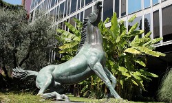 Featured image for “Computer e altri dispositivi NON devono pagare il Canone RAI”