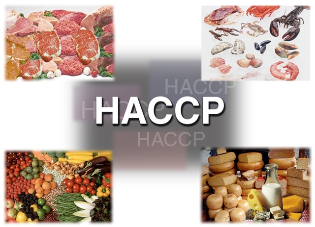 Featured image for “Corso HACCP per titolari e dipendenti”