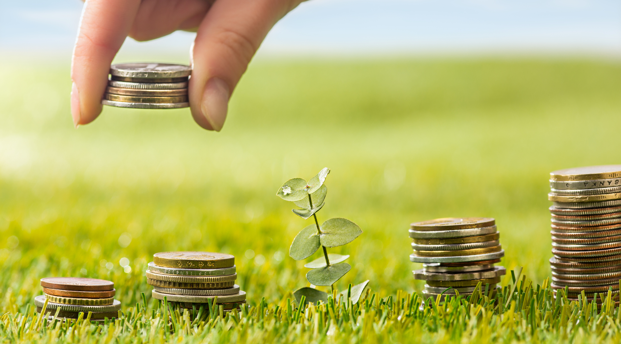 Featured image for “Finanziamenti alle Imprese, misure a sostegno della liquidità”